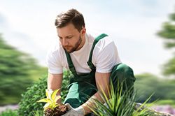 Озеленение и городское благоустройство, создание комфортной среды  в Казани
