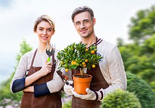 Проект «под ключ» где можно заказать по низкой цене  в Казани