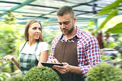 Дендроплан - верное планирование территории и решения этой задачи на уровне  в Казани