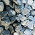 Kamenclub.ru: Щебень галтованный зеленый (змеевик) фр. 50-100 мм.  купить в Казани галтовка мраморная зеленый, салатовый мрамор 12 500 руб/т   фото КАМЕНЬ КЛУБ