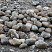 Kamenclub.ru: Речной валун (Ассорти) фр.100-300 мм.  купить в Казани галечник серый, темно-серый, светло-серый речная галька крупных размеров 4200 руб/т   фото КАМЕНЬ КЛУБ