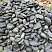 Kamenclub.ru: Темно-серый валунчик фр.100-300 мм.  купить в Казани крупный природный камень серый, темно-серый, светло-серый речная галька большого размера окатанная 4500 руб/т   фото КАМЕНЬ КЛУБ