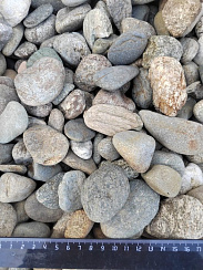 Kamenclub.ru: Галька речная окат (пестрая) фр. 20-40 мм. купить  в Казани галька речная пестрая, серая, серые оттенки галька речная окатанная округлая 5000 руб/т   фото КАМЕНЬ КЛУБ