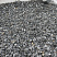 Kamenclub.ru: Щебень крошка черный (мрамор) фр. 10-20 мм.  купить в Казани мрамор черный с белыми прожилками, черный, белый каменная ландшафтная декоративная крошка щебня 11000 руб/т   фото КАМЕНЬ КЛУБ