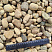 Kamenclub.ru: Галька речная окат рыжая фр. 20-40 мм. купить  в Казани галька речная окатанная рыжая желтая серая округлая речная галька 5000 руб/т   фото КАМЕНЬ КЛУБ