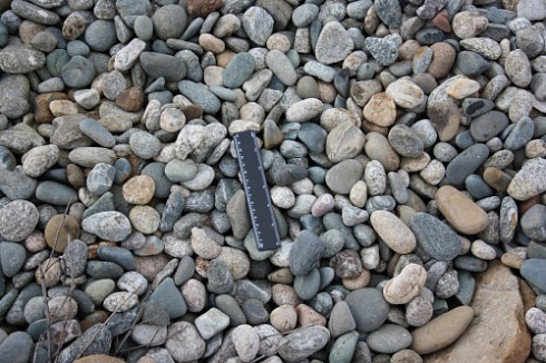 Kamenclub.ru: Галька речная окат (пестрая) фр. 20-40 мм. купить  в Казани галька речная пестрая, серая, серые оттенки галька речная окатанная округлая 5000 руб/т   фото КАМЕНЬ КЛУБ