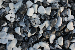 Kamenclub.ru: Мраморная крошка (щебень галтованный микс:белый-черный) фр.40-70 мм.  купить в Казани мрамор белый, черный айвори серый галтовка природного камня 15500 руб/т   фото КАМЕНЬ КЛУБ