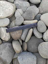 Kamenclub.ru: Галька речная плоская (серо-белая) фр. 70-120 мм. купить в Казани галька галечник речной серый, белый окатанная плоская  природная галька 9000 руб/т   фото КАМЕНЬ КЛУБ