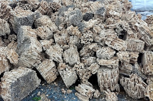 Kamenclub.ru: Крымский природный меотис фр. 100-500 мм.  купить в Казани меотис бежевый рыжий молочный желтый ракушечник 4 500 руб/т   фото КАМЕНЬ КЛУБ