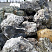 Kamenclub.ru: Черный гранит - кварцит фр. 500-1000 мм.  купить в Казани гранит кварцит черный серый белый скальный колотый валун 9750 руб/т   фото КАМЕНЬ КЛУБ