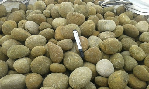 Kamenclub.ru: Песчаник ядра, фр. 100-300 мм  купить в Казани песчаник бежевый серый рыжий речная галька 5 000 руб/т   фото КАМЕНЬ КЛУБ