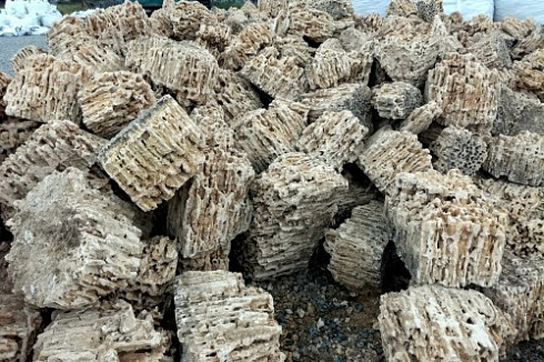 Kamenclub.ru: Крымский природный меотис фр. 100-500 мм.  купить в Казани меотис бежевый рыжий молочный желтый ракушечник 4 500 руб/т   фото КАМЕНЬ КЛУБ