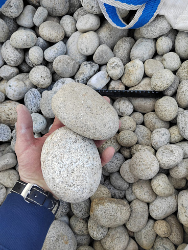 Kamenclub.ru: Галька речная окат (серо-белая) фр. 70-120 мм купить  в Казани галька галечник бело-серая, серо-белая, серая, белая речная природная галька  8000 руб/т   фото КАМЕНЬ КЛУБ