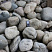 Kamenclub.ru: Темно-серый валунчик фр.100-300 мм.  купить в Казани крупный природный камень серый, темно-серый, светло-серый речная галька большого размера окатанная 4500 руб/т   фото КАМЕНЬ КЛУБ