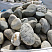 Kamenclub.ru: Речной валун (Ассорти) фр.100-300 мм.  купить в Казани галечник серый, темно-серый, светло-серый речная галька крупных размеров 4200 руб/т   фото КАМЕНЬ КЛУБ