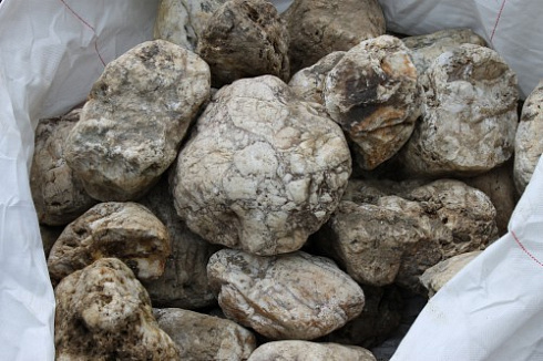 Kamenclub.ru: Кварцевый валунчик фр.100-300 мм.  купить в Казани кварц белый, бежевый молочный рыжий крупный природный камень галечник 7850 руб/т   фото КАМЕНЬ КЛУБ