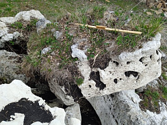 Kamenclub.ru: Выветренный известняк (степной) фр. 500-1500 мм.  купить в Казани    10000 руб/т   фото КАМЕНЬ КЛУБ