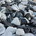 Kamenclub.ru: Мраморная крошка (щебень галтованный микс:: белый-черный) фр.20-40 мм  купить в Казани мрамор белый, черный мраморный галтованный щебень 15500 руб/т   фото КАМЕНЬ КЛУБ