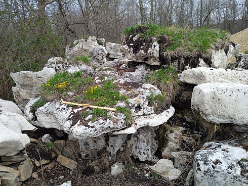 Kamenclub.ru: Выветренный известняк со мхом фр. 100-500 мм.  купить в Казани известняк серый белый зеленый валун известняковый крупный 10000 руб/т   фото КАМЕНЬ КЛУБ