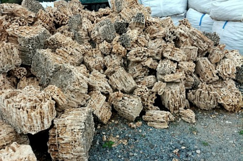 Kamenclub.ru: Крымский природный меотис фр. 100-500 мм.  купить в Казани меотис бежевый рыжий молочный желтый ракушечник 4 500 руб/т   фото КАМЕНЬ КЛУБ