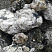 Kamenclub.ru: Черный гранит - кварцит фр. 100-500 мм.  купить в Казани мрамор гранит черный с белыми прожилками, серый, белый валун скальный колотый 7000 руб/т   фото КАМЕНЬ КЛУБ