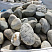 Kamenclub.ru: Речной валун (Ассорти) фр.100-300 мм.  купить в Казани галечник серый, темно-серый, светло-серый речная галька крупных размеров 4200 руб/т   фото КАМЕНЬ КЛУБ