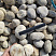 Kamenclub.ru: Галька речная окат (серо-белая) фр. 70-120 мм купить  в Казани галька галечник бело-серая, серо-белая, серая, белая речная природная галька  8000 руб/т   фото КАМЕНЬ КЛУБ