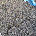 Kamenclub.ru: Галька речная окат (серая) фр.3-5 мм купить  в Казани галька речная серая бежевый темно-серый окатанный речной камень округлый 9500 руб/т   фото КАМЕНЬ КЛУБ