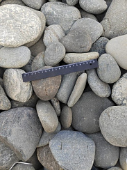 Kamenclub.ru: Галька речная плоская (ассорти) фр. 70-150 мм. купить в Казани галька галечник серый белый темно-серый синий светло-серый плоская природная галька  9000 руб/т   фото КАМЕНЬ КЛУБ