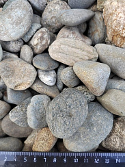 Kamenclub.ru: Галька речная окат (серая) фр.40-60 мм купить  в Казани галька речная серый бежевый рыжий коричневый округлый речной камень 5000 руб/т   фото КАМЕНЬ КЛУБ