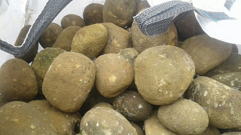 Kamenclub.ru: Песчаник ядра, фр. 100-300 мм  купить в Казани песчаник бежевый серый рыжий речная галька 5 000 руб/т   фото КАМЕНЬ КЛУБ