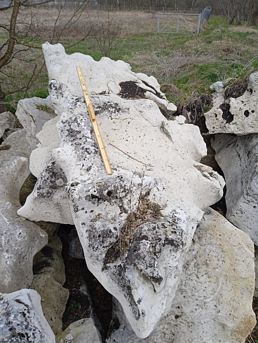 Kamenclub.ru: Выветренный известняк со мхом фр. 100-500 мм.  купить в Казани известняк серый белый зеленый валун известняковый крупный 10000 руб/т   фото КАМЕНЬ КЛУБ