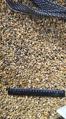 Kamenclub.ru: Галька окат (серо-желтая) фр.5-10 мм. купить  в Казани галька речная рыжий, желтый, рыжий, серо-желтый речная окатанная галька декоративная 5000 руб/т   фото КАМЕНЬ КЛУБ