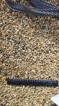 Kamenclub.ru: Галька окат (серо-желтая) фр.5-10 мм. купить  в Казани галька речная рыжий, желтый, рыжий, серо-желтый речная окатанная галька декоративная 5000 руб/т   фото КАМЕНЬ КЛУБ