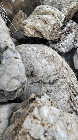 Kamenclub.ru: Кварцевый валунчик фр.100-300 мм.  купить в Казани кварц белый, бежевый молочный рыжий крупный природный камень галечник 7850 руб/т   фото КАМЕНЬ КЛУБ