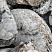 Kamenclub.ru: Кварцевый валунчик фр.100-300 мм.  купить в Казани кварц белый, бежевый молочный рыжий крупный природный камень галечник 7850 руб/т   фото КАМЕНЬ КЛУБ