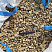 Kamenclub.ru: Галька речная окат рыжая фр. 20-40 мм. купить  в Казани галька речная окатанная рыжая желтая серая округлая речная галька 5000 руб/т   фото КАМЕНЬ КЛУБ