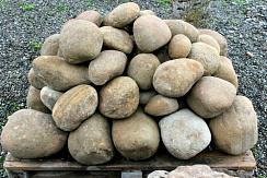 Kamenclub.ru: Песчаник ядра, фр. 100-300 мм  купить в Казани песчаник бежевый серый рыжий речная галька 5 000 руб/т   фото КАМЕНЬ КЛУБ