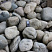 Kamenclub.ru: Речной валун (Ассорти) фр.100-300 мм.  купить в Казани галечник серый, темно-серый, светло-серый речная галька крупных размеров 4200 руб/т   фото КАМЕНЬ КЛУБ