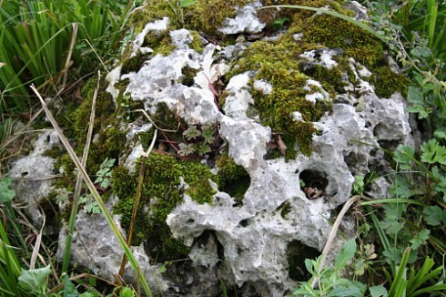 Kamenclub.ru: Выветренный известняк со мхом фр. 100-500 мм.  купить в Казани известняк серый белый зеленый валун известняковый крупный 10000 руб/т   фото КАМЕНЬ КЛУБ