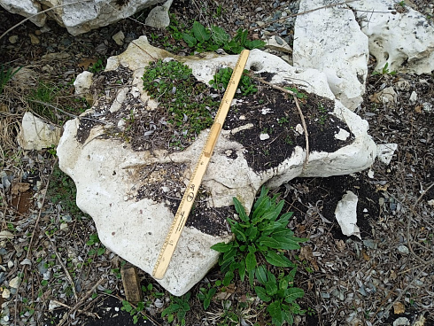 Kamenclub.ru: Выветренный известняк (степной) фр. 500-1500 мм.  купить в Казани    10000 руб/т   фото КАМЕНЬ КЛУБ