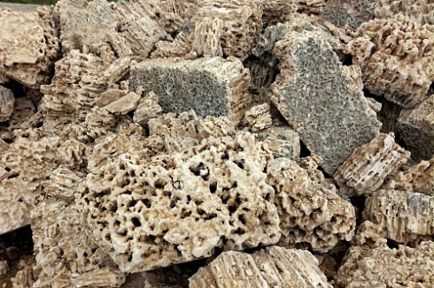 Kamenclub.ru: Крымский природный меотис фр. 100-500 мм.  купить в Казани меотис бежевый рыжий молочный желтый ракушечник 4 500 руб/т   фото КАМЕНЬ КЛУБ