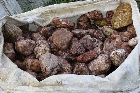 Kamenclub.ru: Розовый валунчик фр.100-300 мм.  купить в Казани крупный природный камень розовый, серый молочный красный речной галечник природный 7850 руб/т   фото КАМЕНЬ КЛУБ