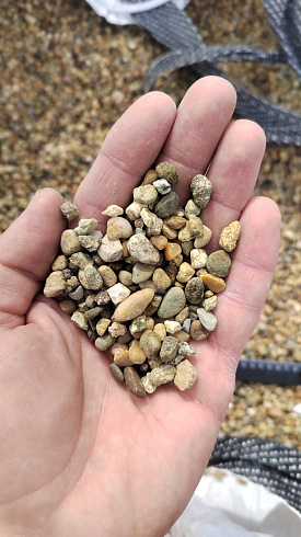 Kamenclub.ru: Галька окат (серо-желтая) фр.5-10 мм. купить  в Казани галька речная рыжий, желтый, рыжий, серо-желтый речная окатанная галька декоративная 5000 руб/т   фото КАМЕНЬ КЛУБ